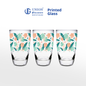 UNION GLASS Thailand Premium Printed Glass Limited Edition Design Water Glass 445ml | 16oz Set of 3